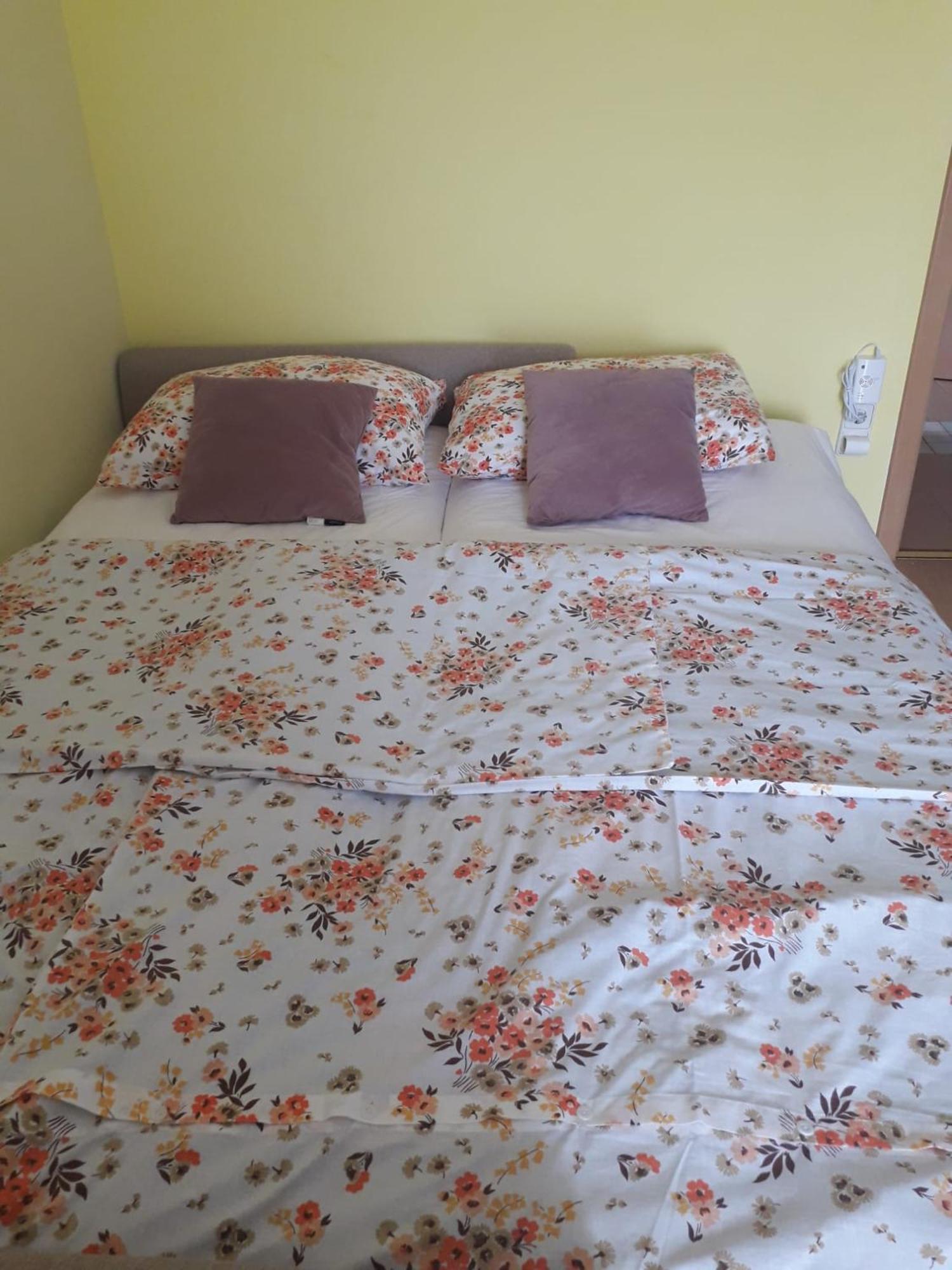Apartment Kolaric 诺维·维诺多尔斯基 外观 照片